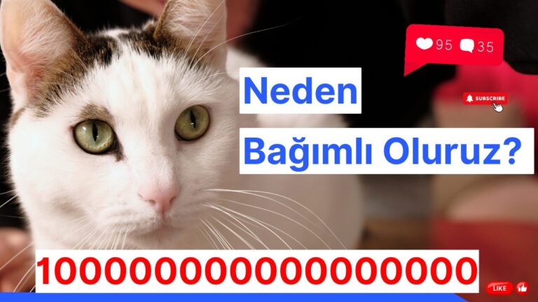 telefon-bagimliligi-neden-olur